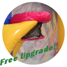 Free Upgrade Basketball Goal